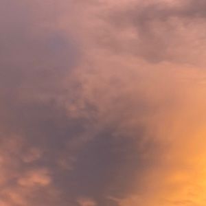 Meet your Posher, Kaitlyn